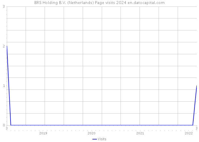 BRS Holding B.V. (Netherlands) Page visits 2024 