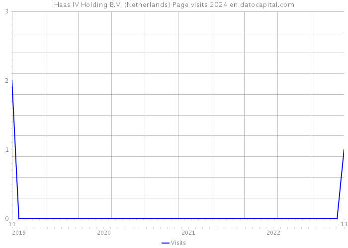 Haas IV Holding B.V. (Netherlands) Page visits 2024 