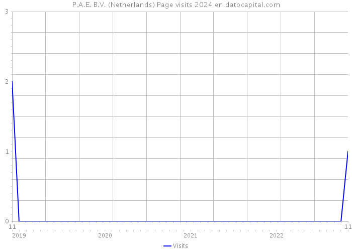 P.A.E. B.V. (Netherlands) Page visits 2024 