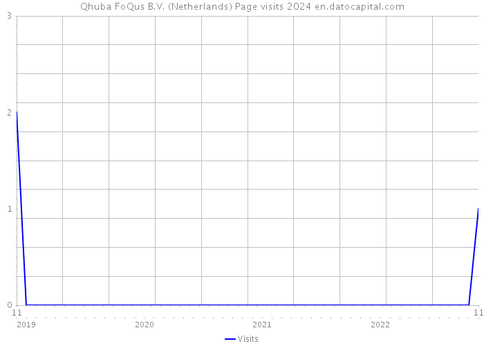 Qhuba FoQus B.V. (Netherlands) Page visits 2024 