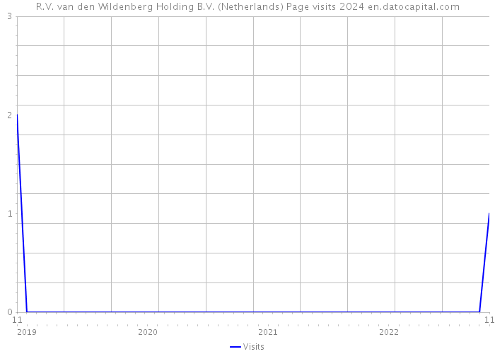 R.V. van den Wildenberg Holding B.V. (Netherlands) Page visits 2024 