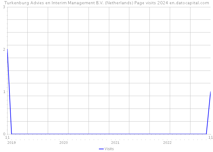 Turkenburg Advies en Interim Management B.V. (Netherlands) Page visits 2024 