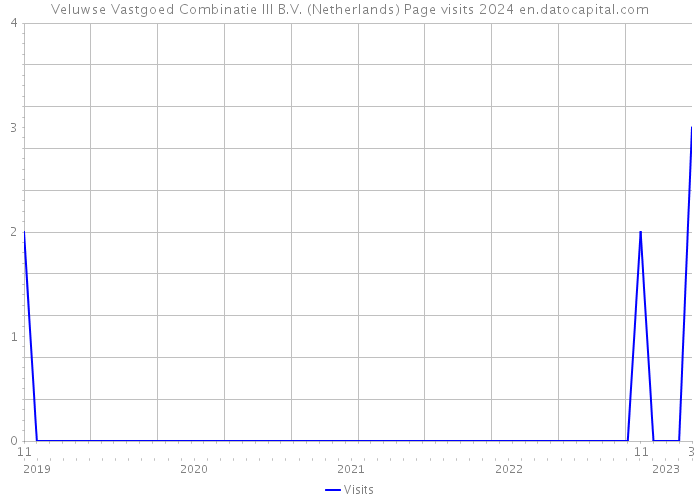 Veluwse Vastgoed Combinatie III B.V. (Netherlands) Page visits 2024 