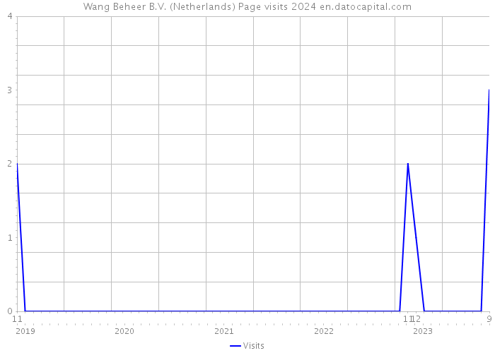 Wang Beheer B.V. (Netherlands) Page visits 2024 