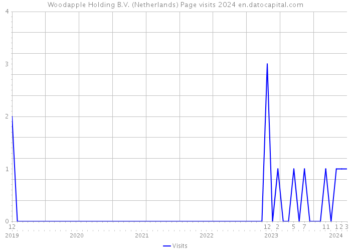 Woodapple Holding B.V. (Netherlands) Page visits 2024 