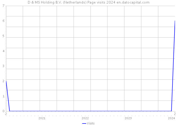 D & MS Holding B.V. (Netherlands) Page visits 2024 