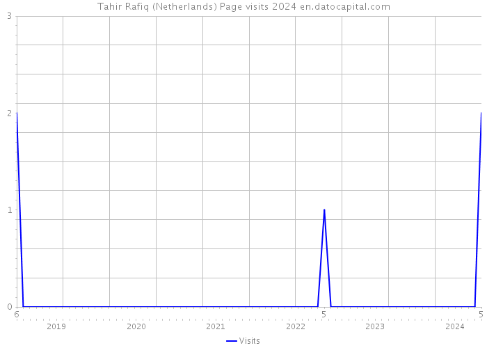 Tahir Rafiq (Netherlands) Page visits 2024 
