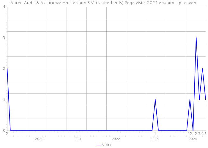 Auren Audit & Assurance Amsterdam B.V. (Netherlands) Page visits 2024 
