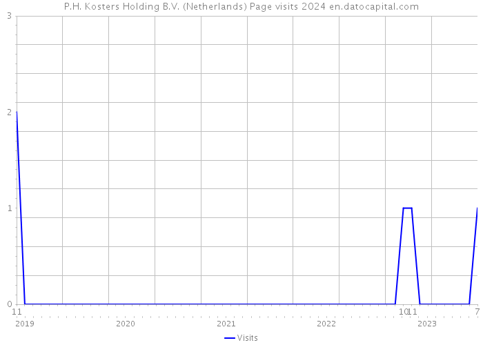 P.H. Kosters Holding B.V. (Netherlands) Page visits 2024 