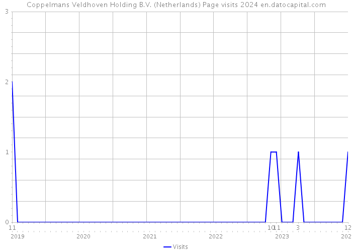 Coppelmans Veldhoven Holding B.V. (Netherlands) Page visits 2024 