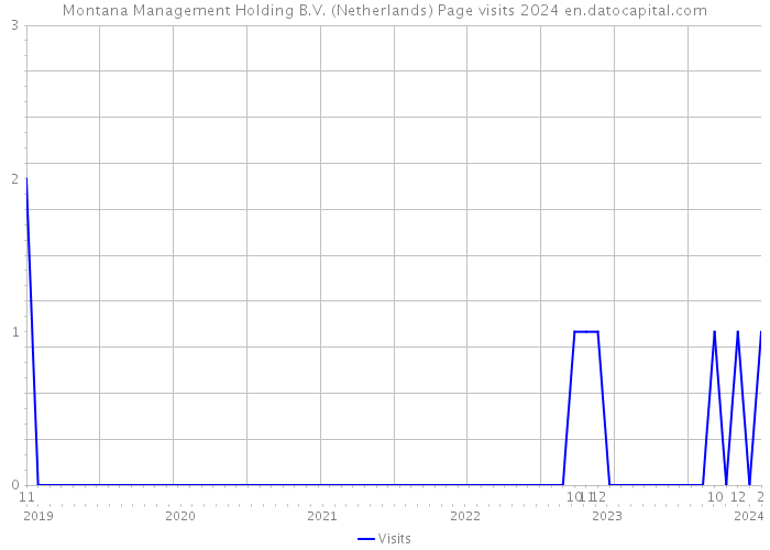 Montana Management Holding B.V. (Netherlands) Page visits 2024 