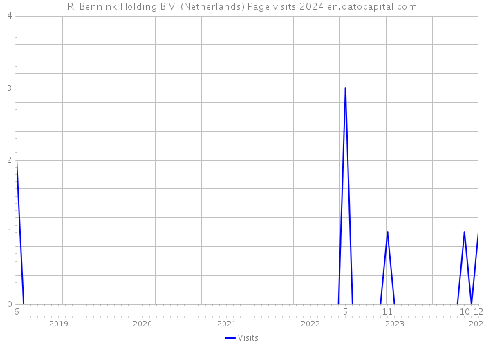 R. Bennink Holding B.V. (Netherlands) Page visits 2024 