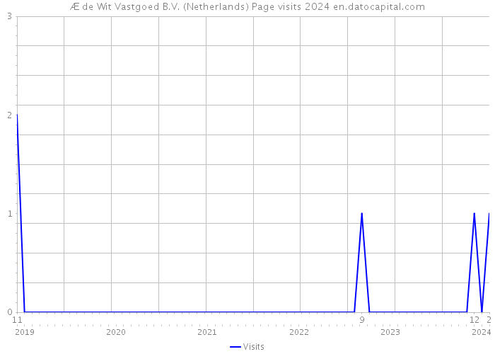 Æ de Wit Vastgoed B.V. (Netherlands) Page visits 2024 
