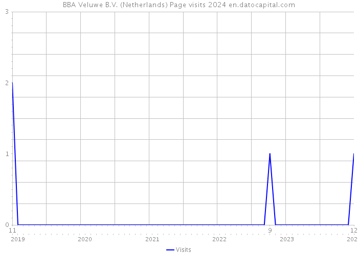 BBA Veluwe B.V. (Netherlands) Page visits 2024 