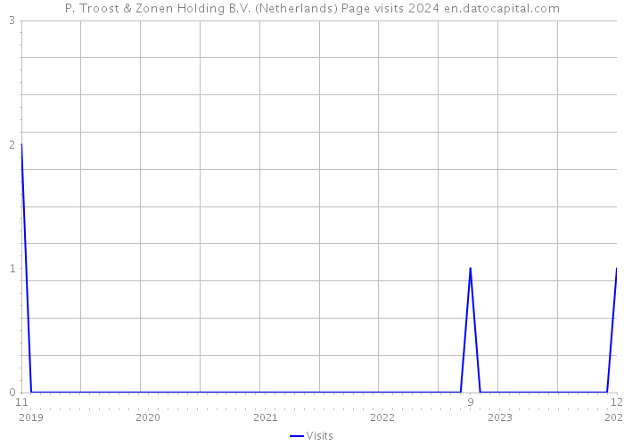 P. Troost & Zonen Holding B.V. (Netherlands) Page visits 2024 