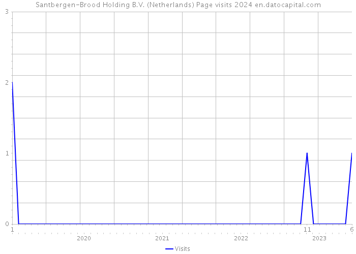 Santbergen-Brood Holding B.V. (Netherlands) Page visits 2024 