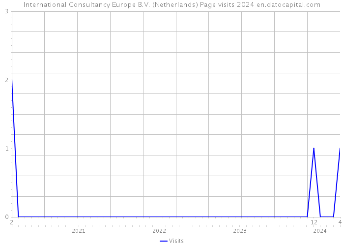 International Consultancy Europe B.V. (Netherlands) Page visits 2024 