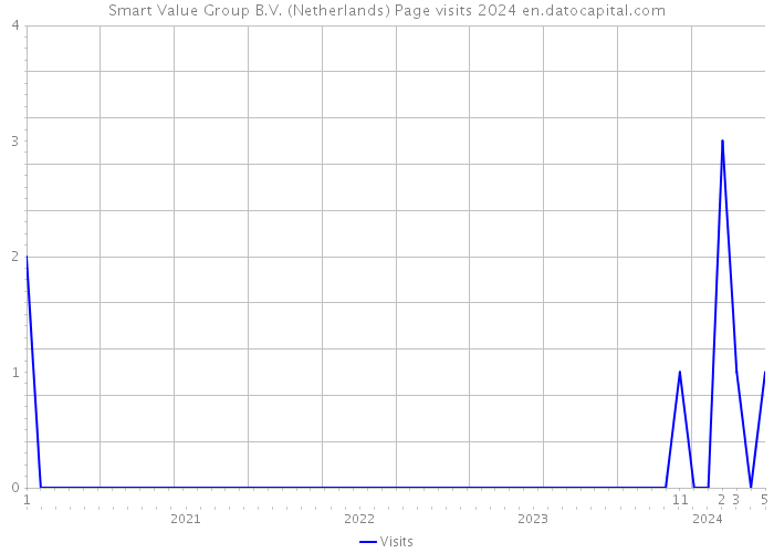 Smart Value Group B.V. (Netherlands) Page visits 2024 