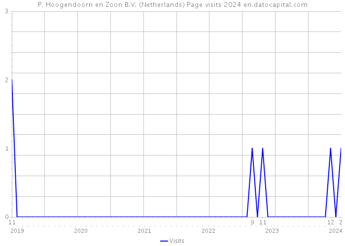 P. Hoogendoorn en Zoon B.V. (Netherlands) Page visits 2024 