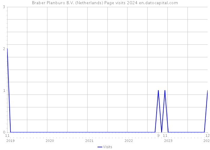 Braber Planburo B.V. (Netherlands) Page visits 2024 