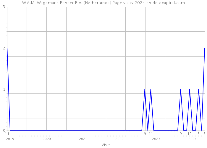W.A.M. Wagemans Beheer B.V. (Netherlands) Page visits 2024 