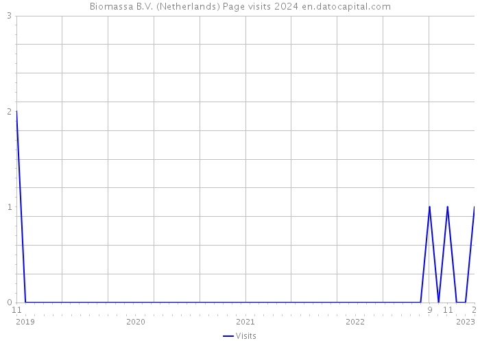 Biomassa B.V. (Netherlands) Page visits 2024 