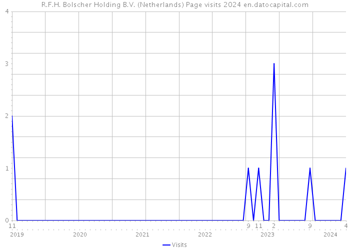 R.F.H. Bolscher Holding B.V. (Netherlands) Page visits 2024 