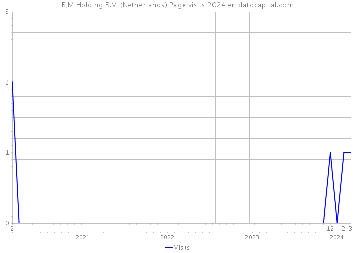 BJM Holding B.V. (Netherlands) Page visits 2024 