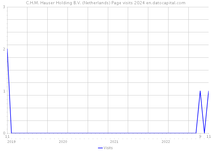 C.H.M. Hauser Holding B.V. (Netherlands) Page visits 2024 