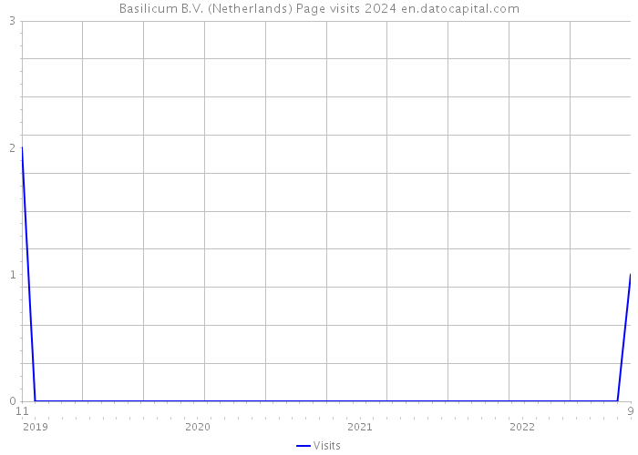 Basilicum B.V. (Netherlands) Page visits 2024 