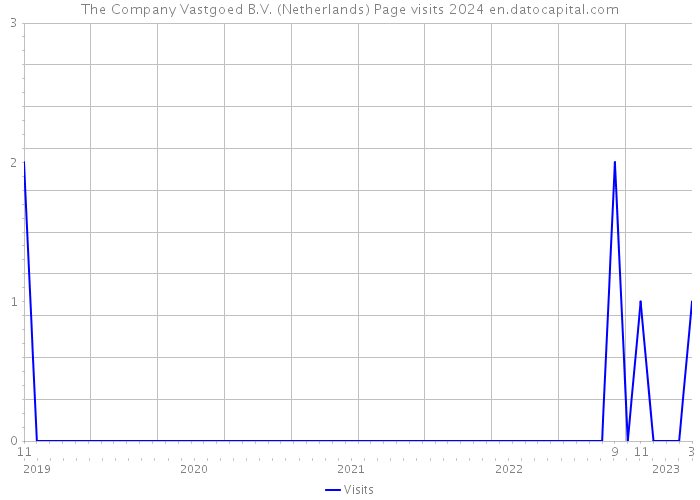 The Company Vastgoed B.V. (Netherlands) Page visits 2024 