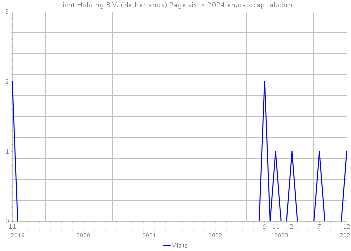 Licht Holding B.V. (Netherlands) Page visits 2024 
