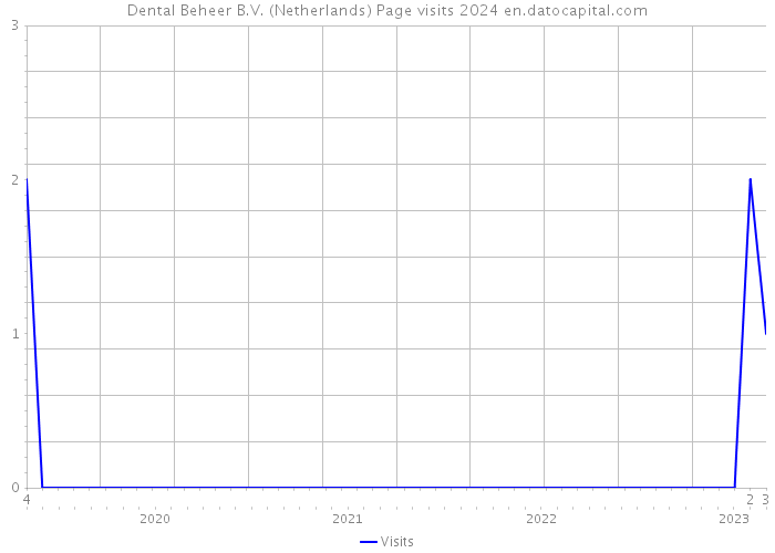 Dental Beheer B.V. (Netherlands) Page visits 2024 