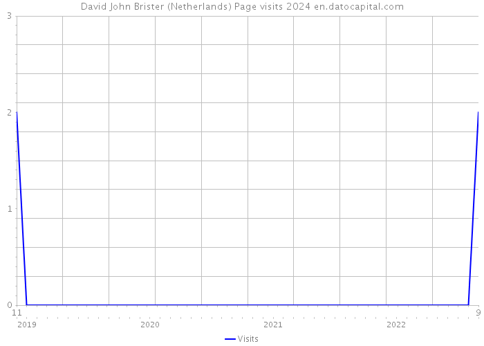 David John Brister (Netherlands) Page visits 2024 