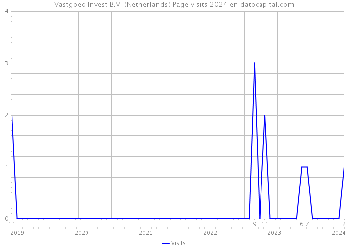 Vastgoed Invest B.V. (Netherlands) Page visits 2024 