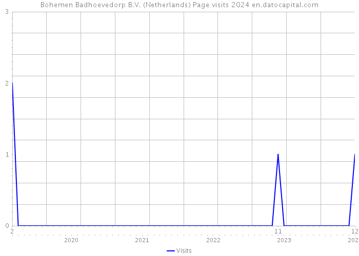 Bohemen Badhoevedorp B.V. (Netherlands) Page visits 2024 