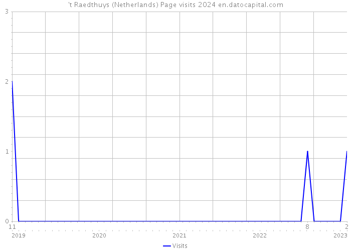 't Raedthuys (Netherlands) Page visits 2024 