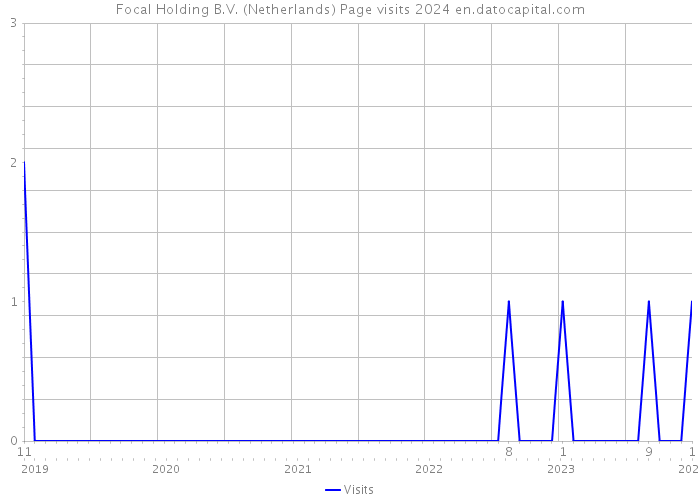 Focal Holding B.V. (Netherlands) Page visits 2024 