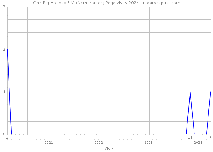 One Big Holiday B.V. (Netherlands) Page visits 2024 