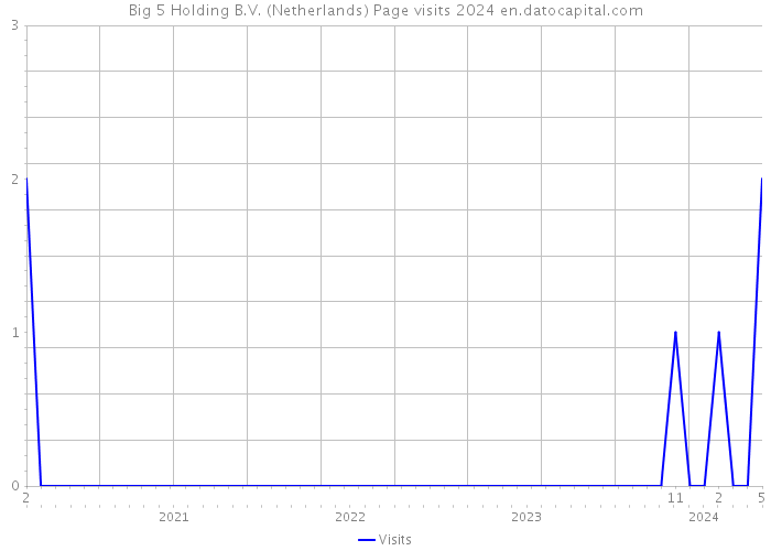 Big 5 Holding B.V. (Netherlands) Page visits 2024 