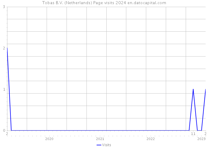 Tobas B.V. (Netherlands) Page visits 2024 