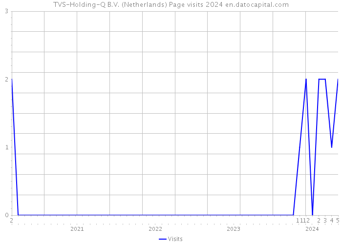 TVS-Holding-Q B.V. (Netherlands) Page visits 2024 