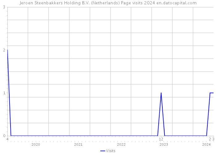 Jeroen Steenbakkers Holding B.V. (Netherlands) Page visits 2024 
