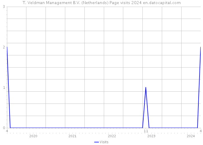 T. Veldman Management B.V. (Netherlands) Page visits 2024 
