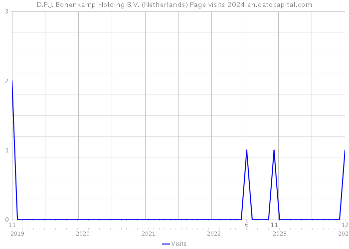 D.P.J. Bonenkamp Holding B.V. (Netherlands) Page visits 2024 