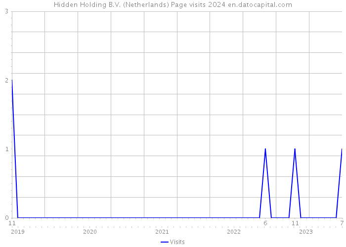 Hidden Holding B.V. (Netherlands) Page visits 2024 