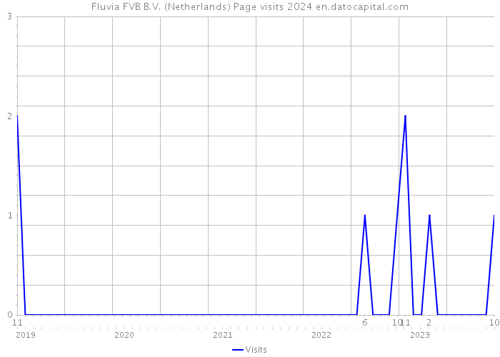 Fluvia FVB B.V. (Netherlands) Page visits 2024 