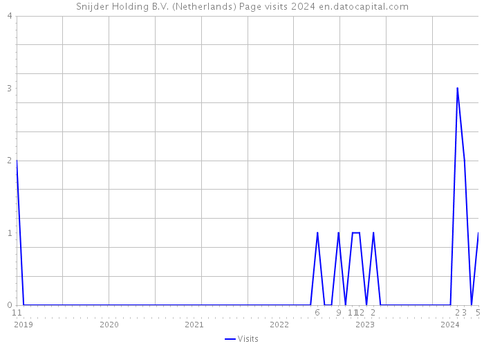 Snijder Holding B.V. (Netherlands) Page visits 2024 