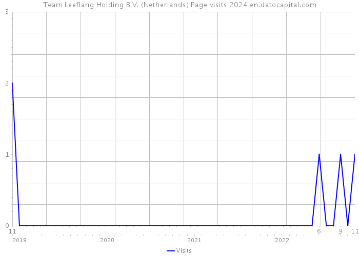 Team Leeflang Holding B.V. (Netherlands) Page visits 2024 