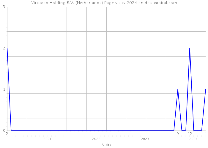 Virtuoso Holding B.V. (Netherlands) Page visits 2024 
